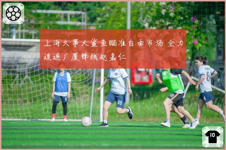 上海久事大鲨鱼瞄准自由市场 全力追逐广厦锋线赵嘉仁